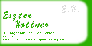 eszter wollner business card